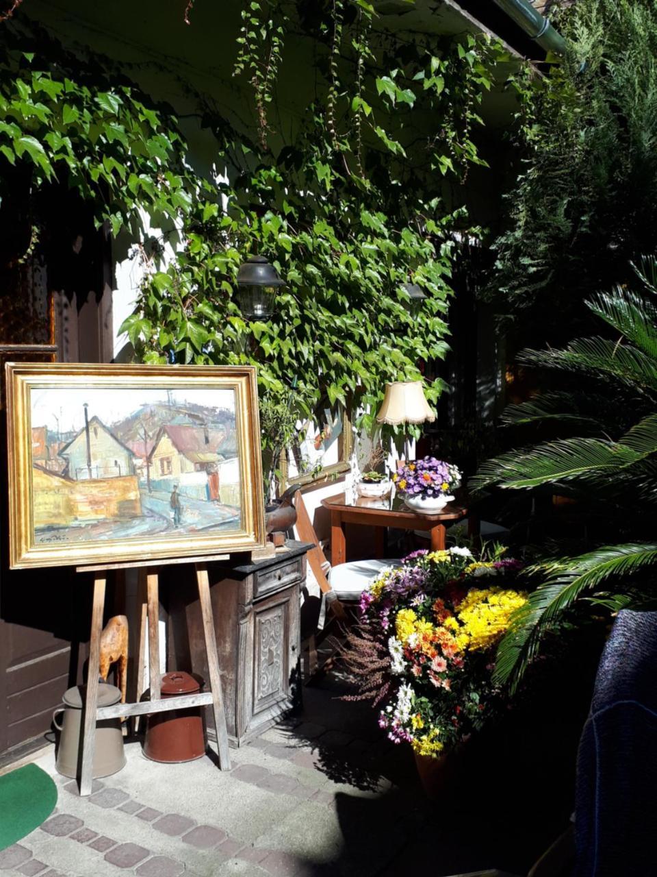 Fonagy Es Walter Vendeg- Es Borhaz Bed & Breakfast Vác Exterior foto