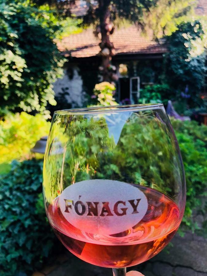 Fonagy Es Walter Vendeg- Es Borhaz Bed & Breakfast Vác Cameră foto